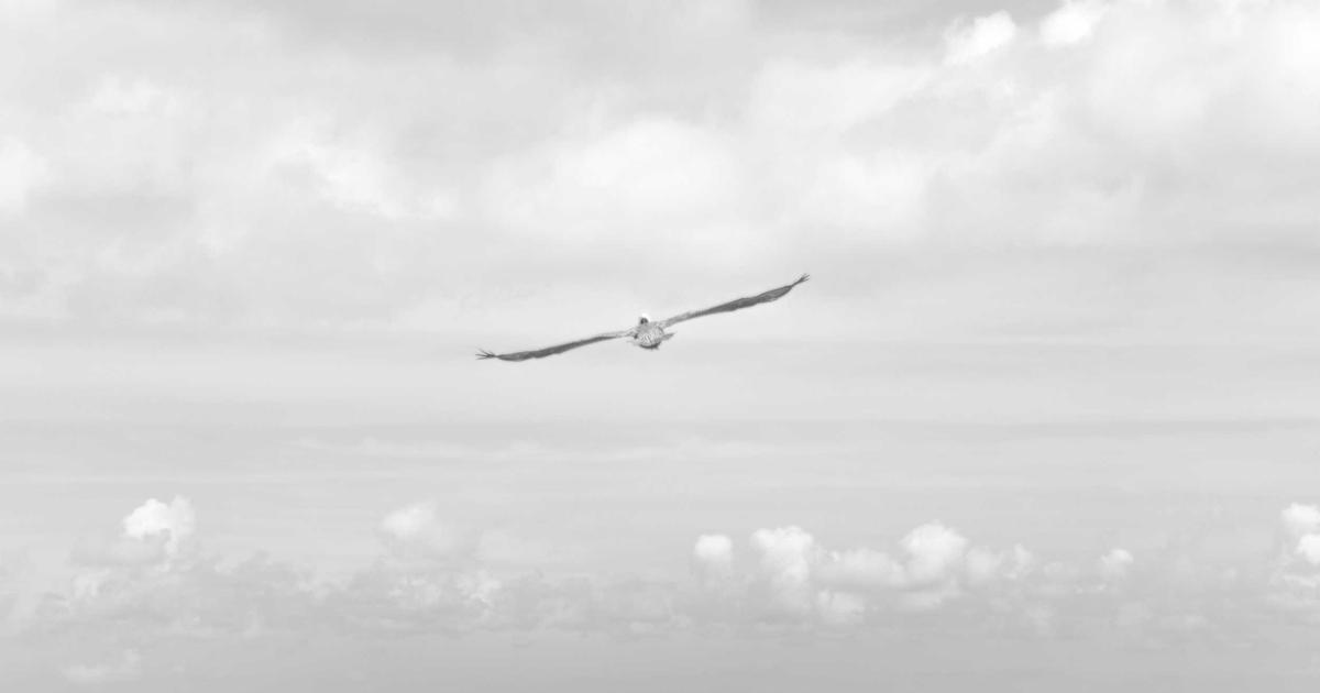 SEO in 2025: The Strategies That Actually Move Rankings